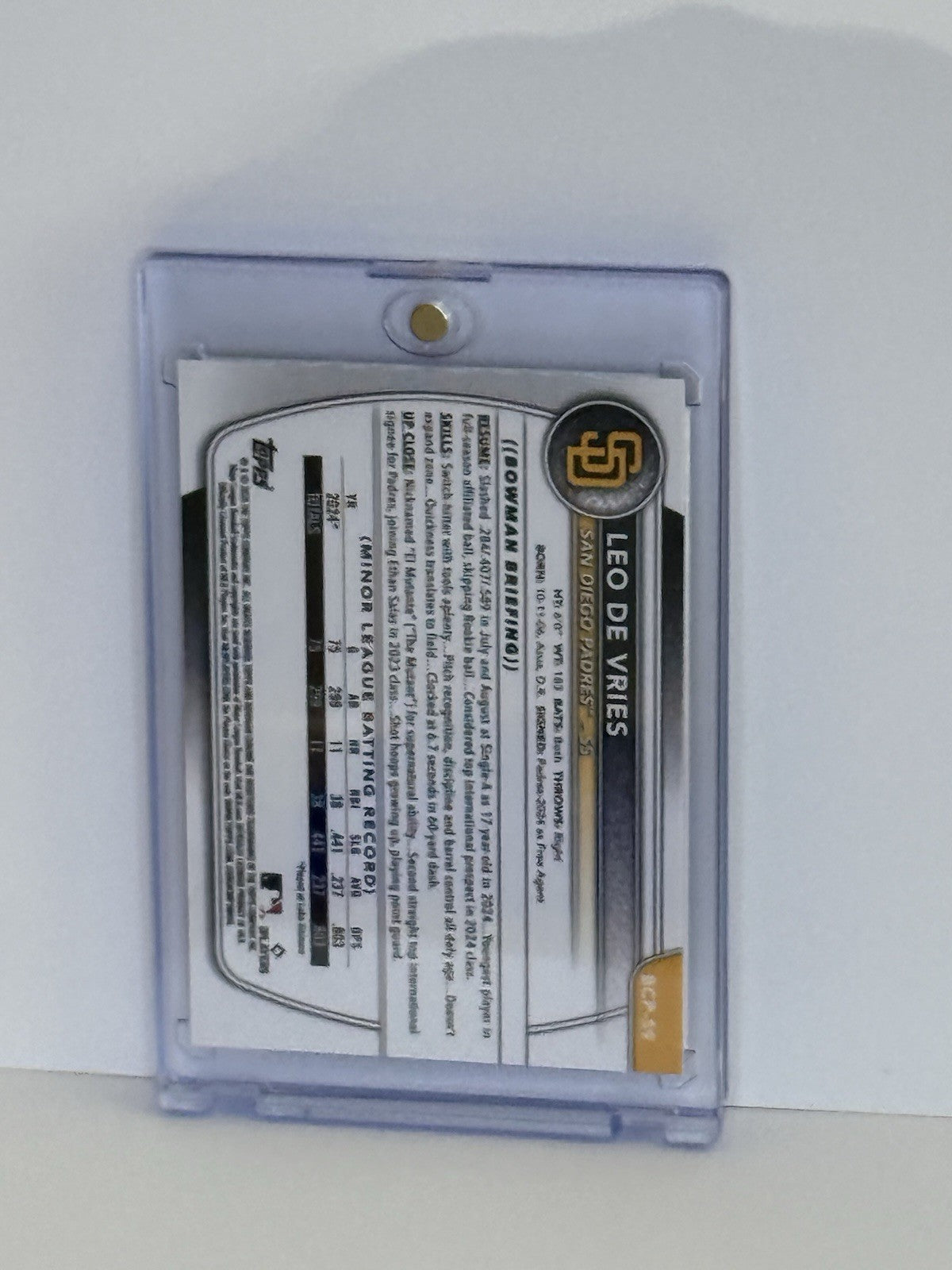 Image #2